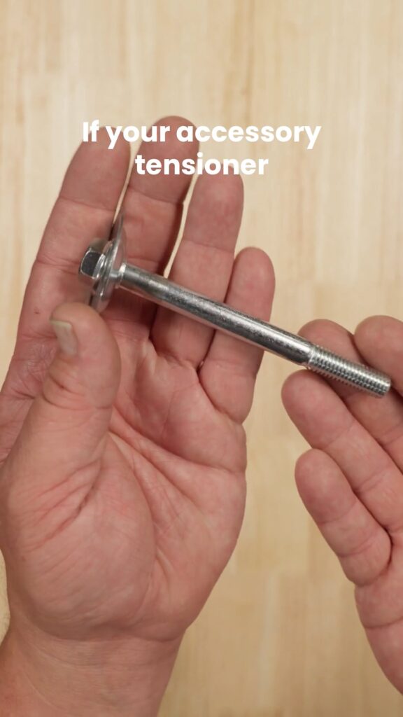 thumb (1)